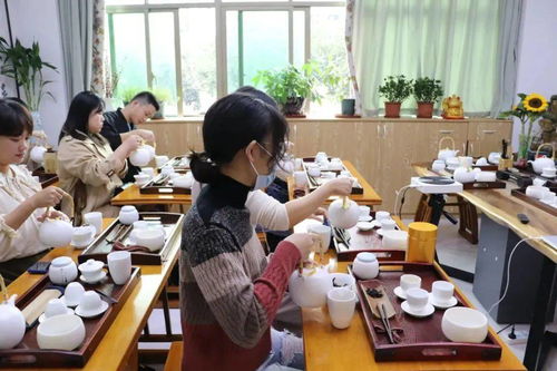 茶香千年，青年服务日助力文化传承